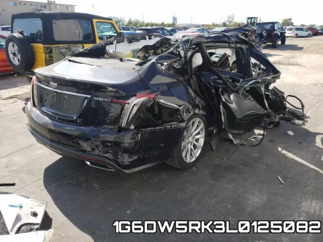 1G6DW5RK3L0125082 фото 4