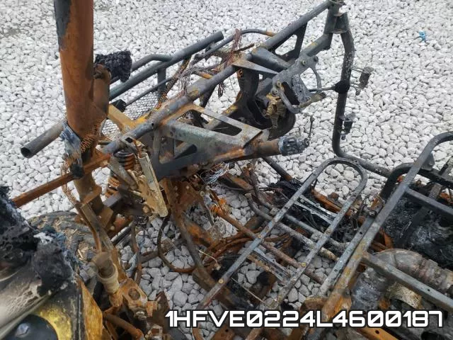 1HFVE0224L4600187 фото 8