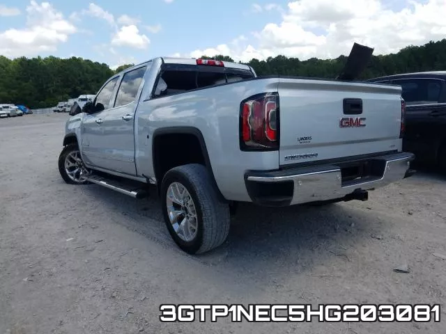 3GTP1NEC5HG203081 фото 4