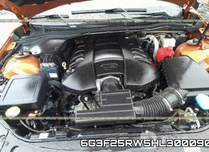 6G3F25RW5HL300090 фото 2