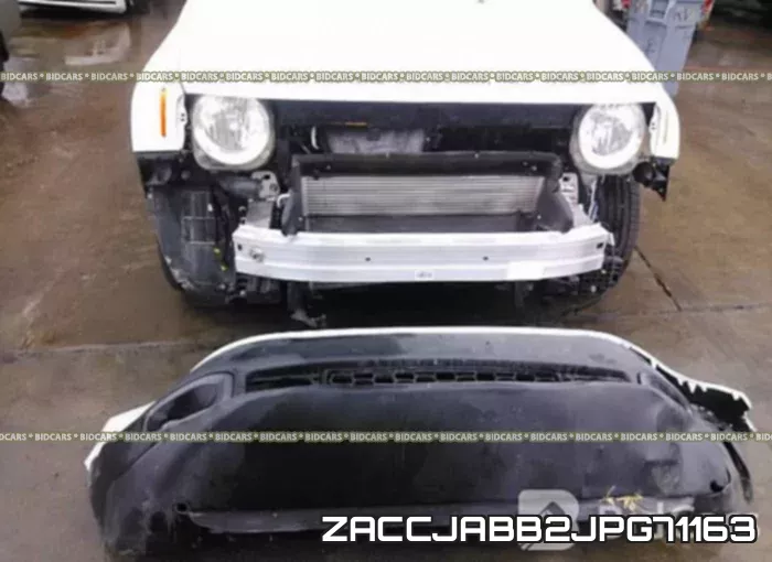 ZACCJABB2JPG71163 фото 6