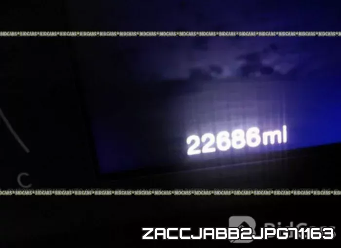 ZACCJABB2JPG71163 фото 7