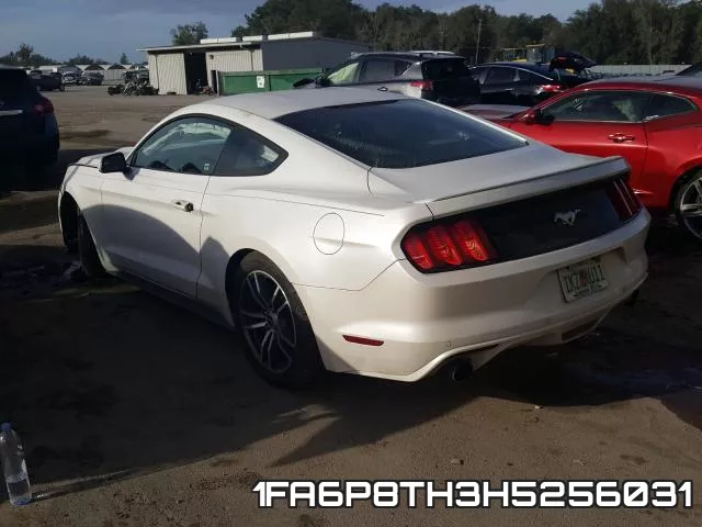 1FA6P8TH3H5256031 фото 4