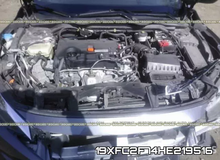 19XFC2F74HE219516 фото 2