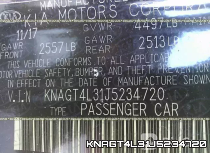 KNAGT4L31J5234720 фото 10