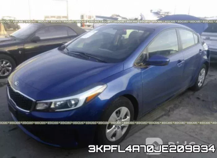 3KPFL4A70JE209834 фото 2