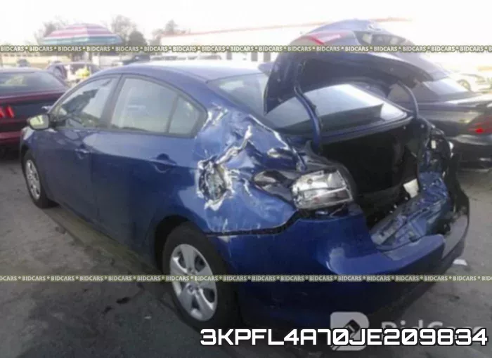 3KPFL4A70JE209834 фото 3