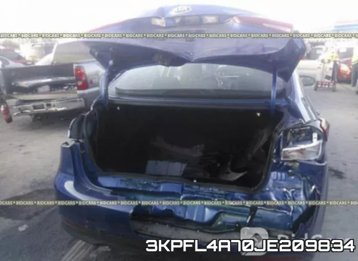 3KPFL4A70JE209834 фото 6