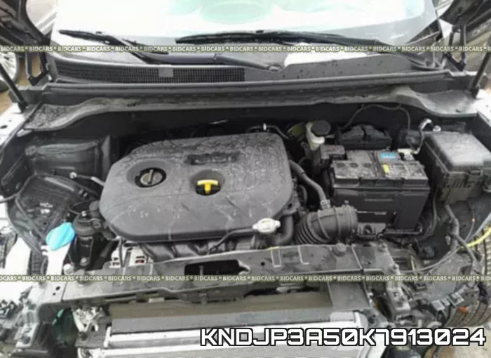 KNDJP3A50K7913024 фото 2