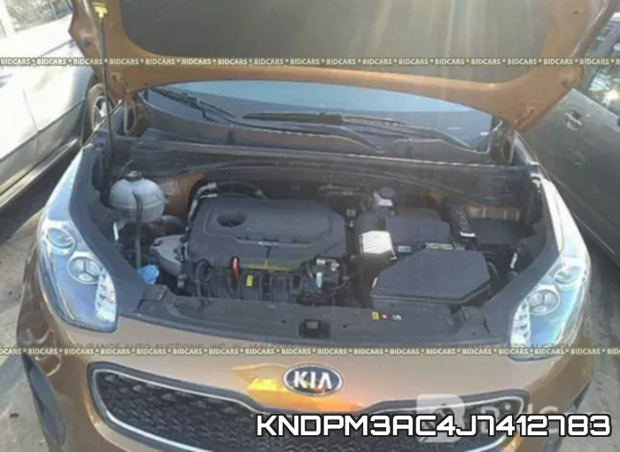 KNDPM3AC4J7412783 фото 2