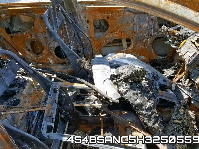 4S4BSANC5H3250559 фото 6