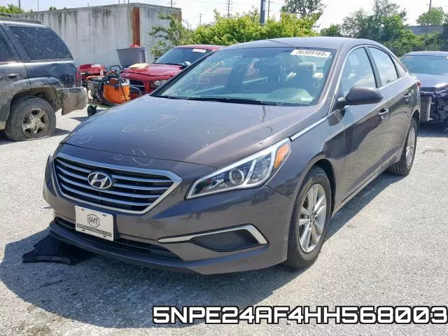 5NPE24AF4HH568003 фото 3