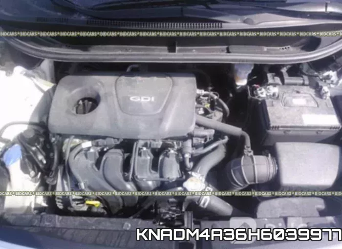 KNADM4A36H6039977 фото 2