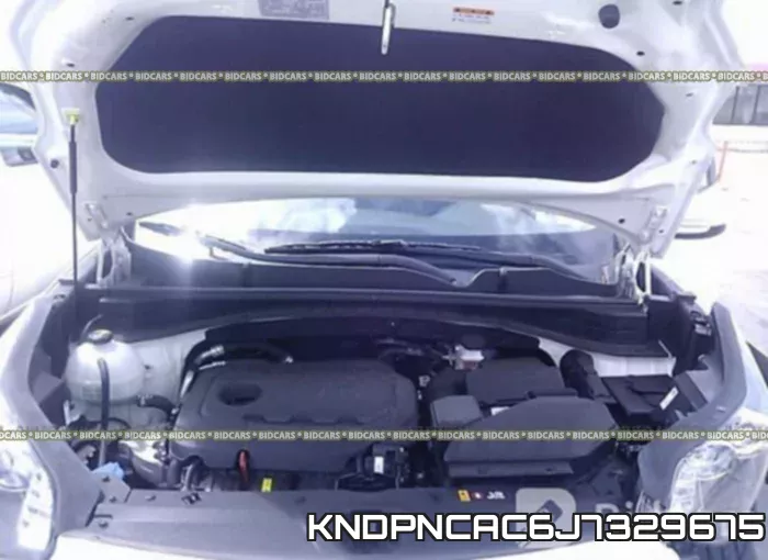 KNDPNCAC6J7329675 фото 2