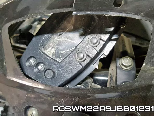 RGSWM22A9JBB01231 фото 2