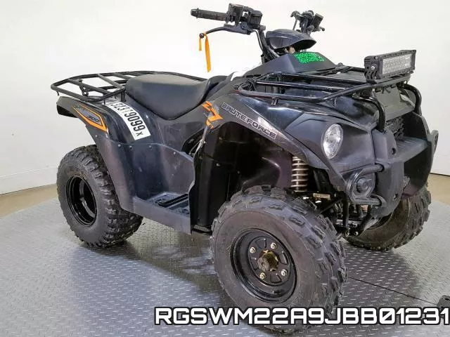 RGSWM22A9JBB01231 фото 3