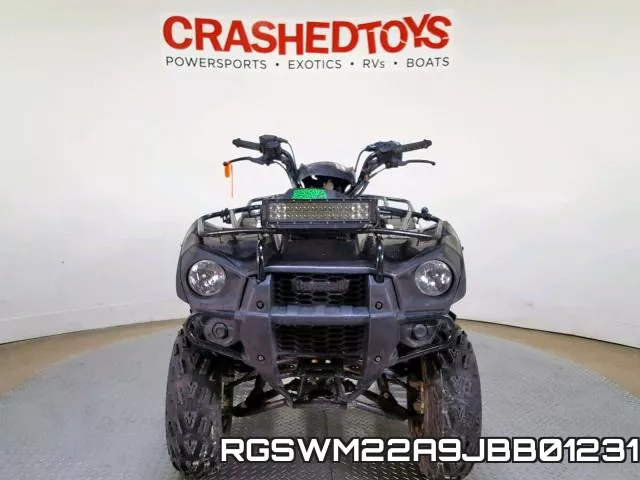 RGSWM22A9JBB01231 фото 4