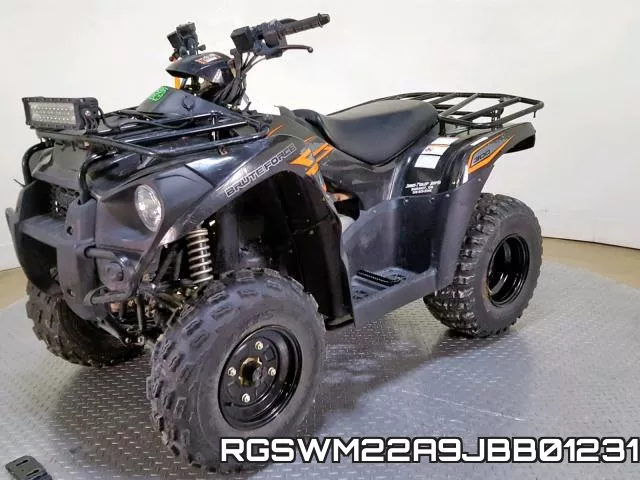 RGSWM22A9JBB01231 фото 5
