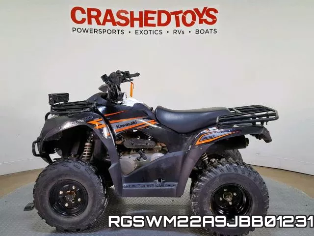 RGSWM22A9JBB01231 фото 6