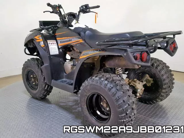 RGSWM22A9JBB01231 фото 7