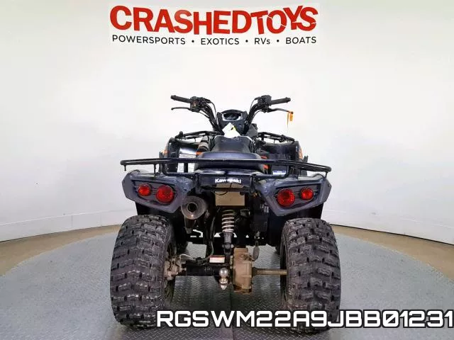 RGSWM22A9JBB01231 фото 8