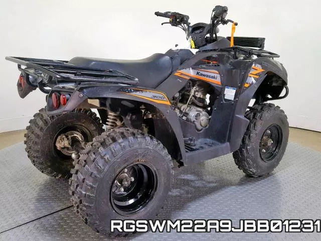 RGSWM22A9JBB01231 фото 9