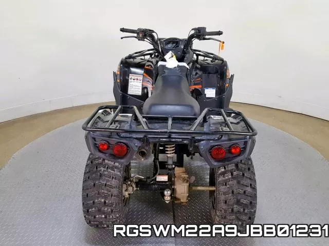 RGSWM22A9JBB01231 фото 10