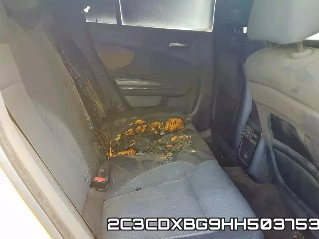 2C3CDXBG9HH503753 фото 7