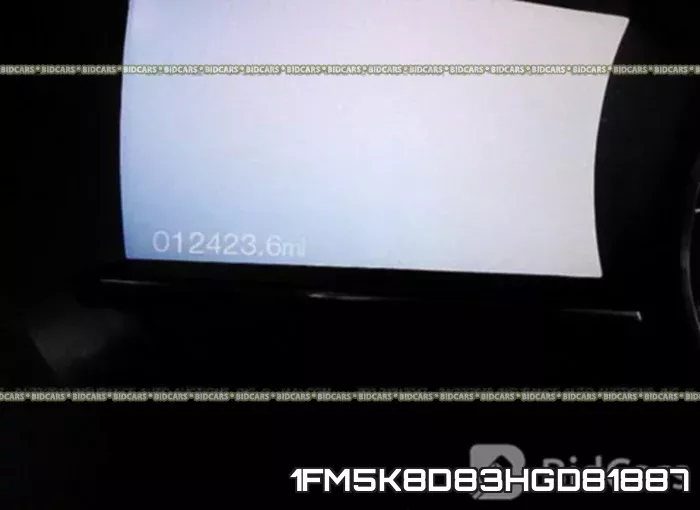 1FM5K8D83HGD81887 фото 8