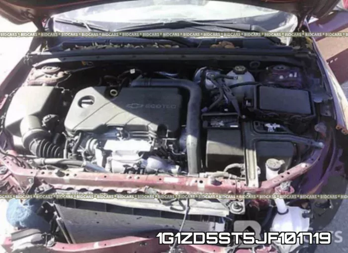 1G1ZD5ST5JF101719 фото 2