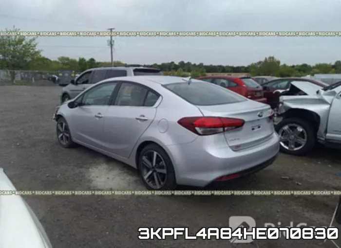 3KPFL4A84HE070830 фото 4