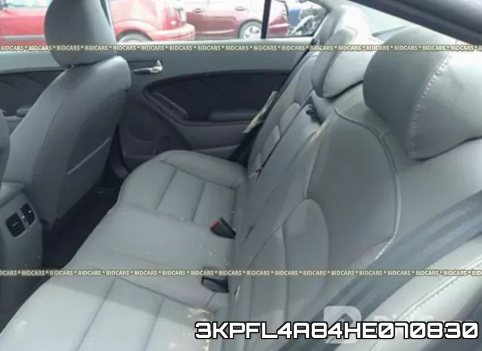 3KPFL4A84HE070830 фото 9