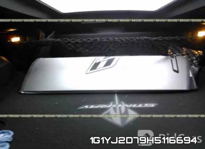 1G1YJ2D79H5116694 фото 9