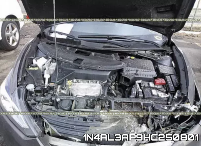 1N4AL3AP9HC250801 фото 2