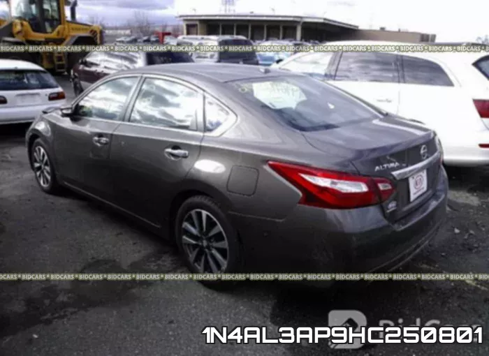 1N4AL3AP9HC250801 фото 4