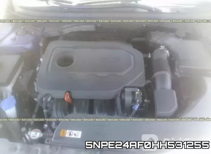 5NPE24AF0HH531255 фото 2
