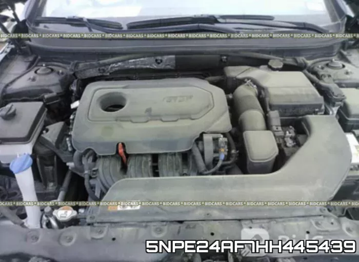 5NPE24AF7HH445439 фото 2