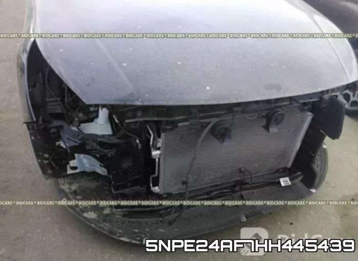 5NPE24AF7HH445439 фото 7