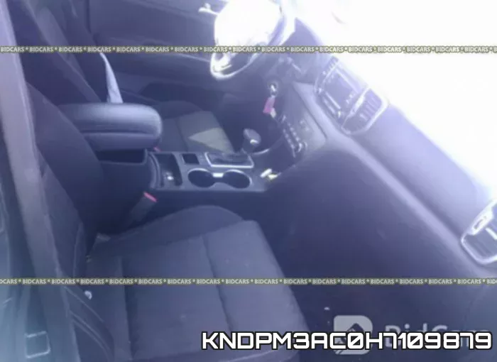 KNDPM3AC0H7109879 фото 6