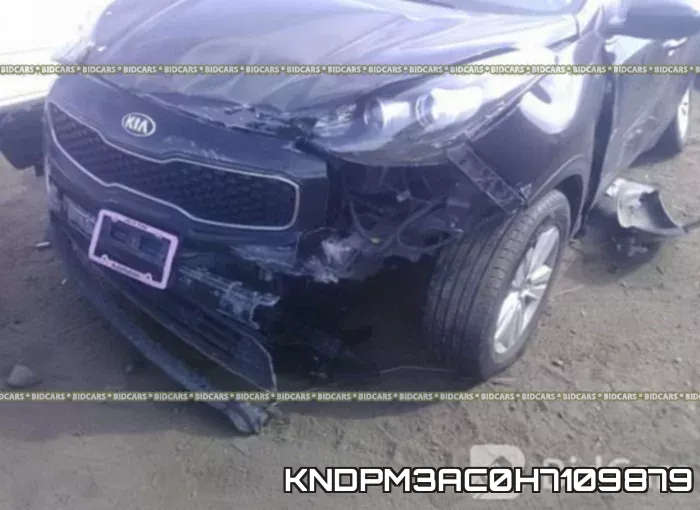 KNDPM3AC0H7109879 фото 7