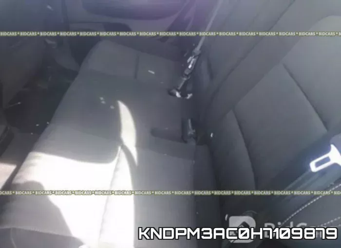 KNDPM3AC0H7109879 фото 9