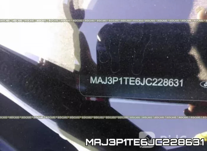 MAJ3P1TE6JC228631 фото 10