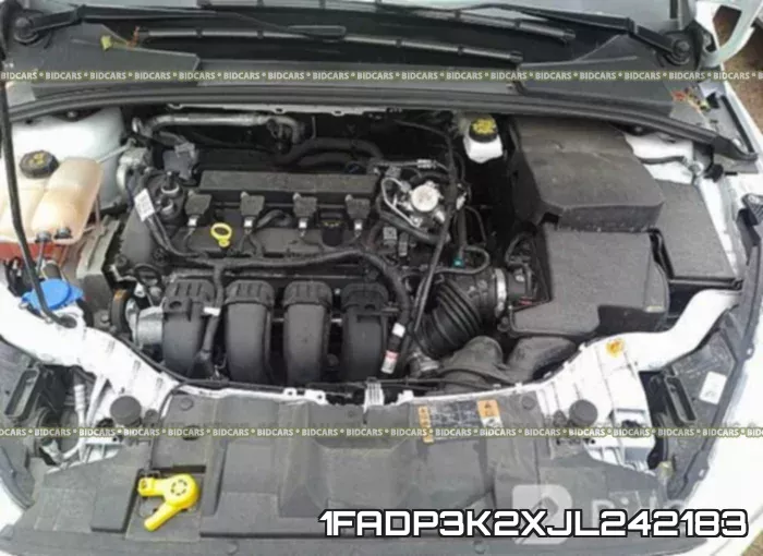 1FADP3K2XJL242183 фото 2