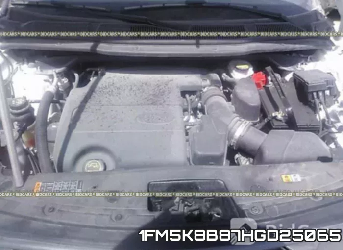 1FM5K8B87HGD25065 фото 2