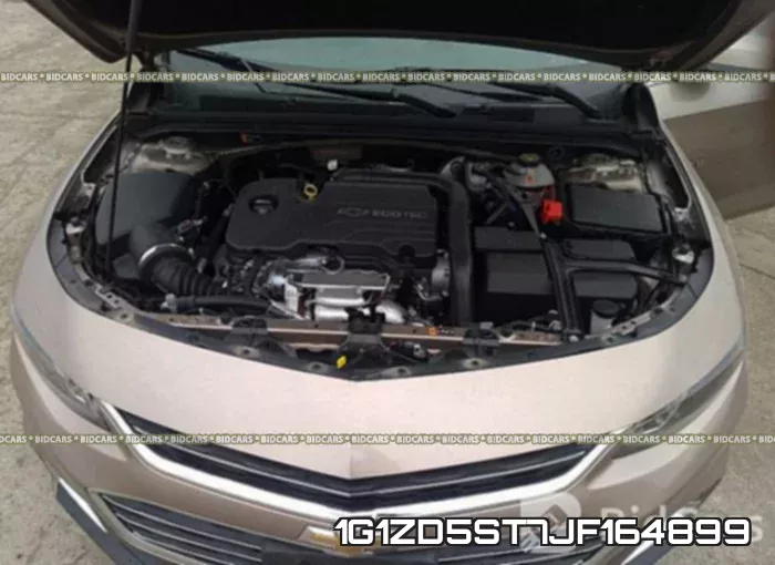 1G1ZD5ST7JF164899 фото 2