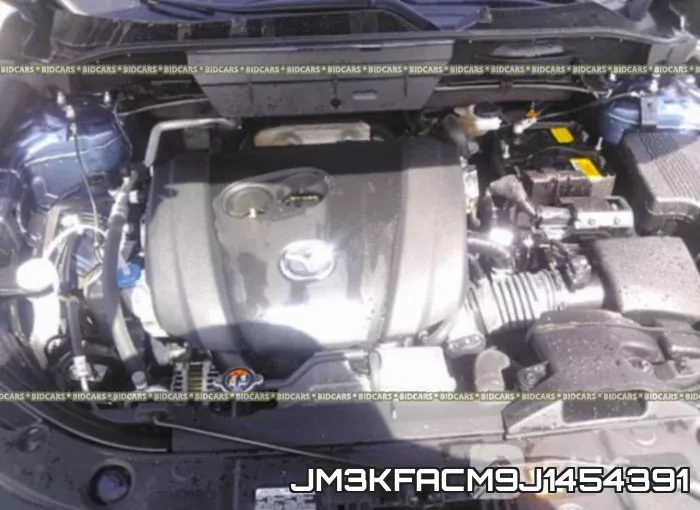 JM3KFACM9J1454391 фото 2