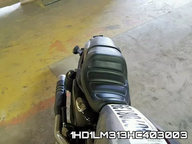 1HD1LM313HC403003 фото 7
