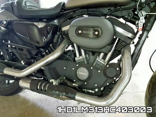 1HD1LM313HC403003 фото 8