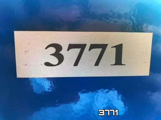 3771 фото 9