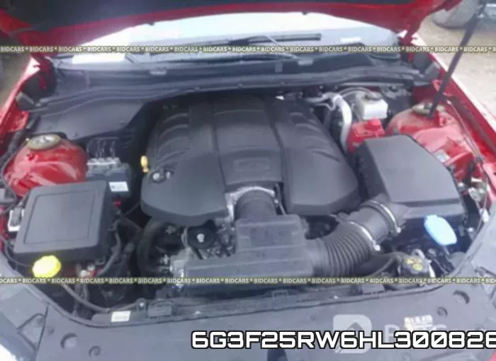 6G3F25RW6HL300826 фото 2